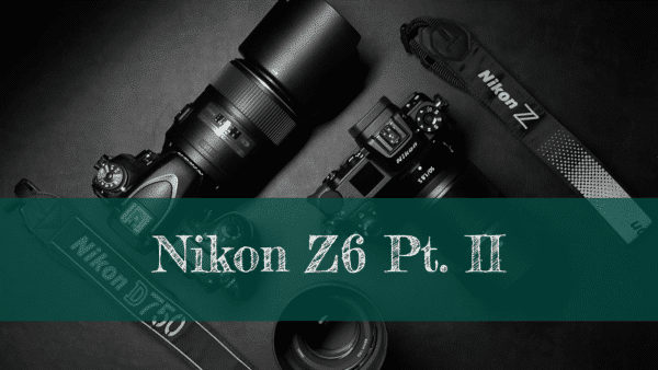 Nikon Z6 | Erfahrungsbericht mit Firmawar 3.0 | Blog · Kamera · Technik