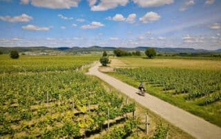 Transgermany 2020 Prolog - Heidelberg, Rheinebene und Pfälzer Wald