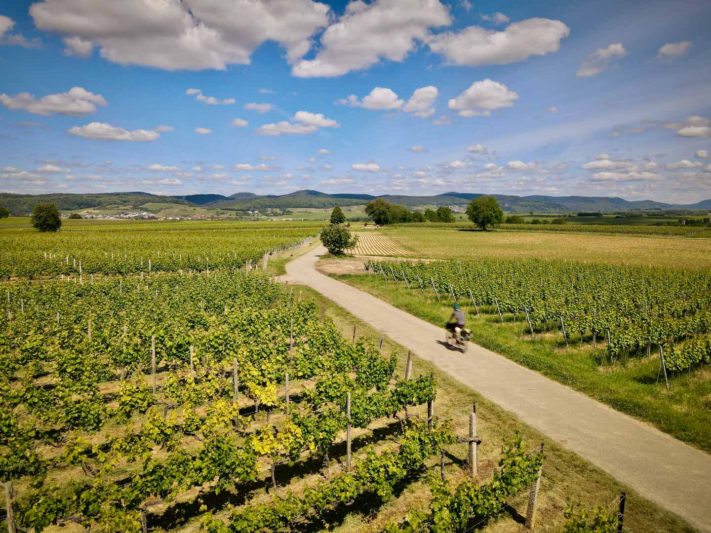 Transgermany 2020 Prolog - Heidelberg, Rheinebene und Pfälzer Wald