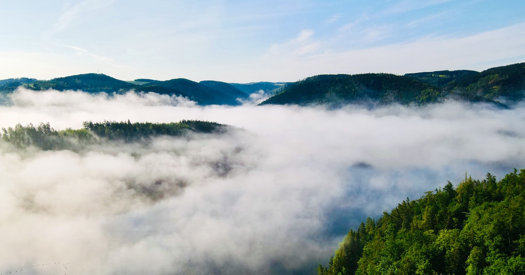 Transgermany 2020 Part V