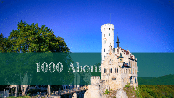 1000 Abonnenten auf YouTube - wieviel Geld ich verdiene.