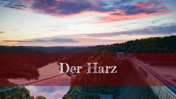 Der Harz - Wandern durch einen Wald im Wandel