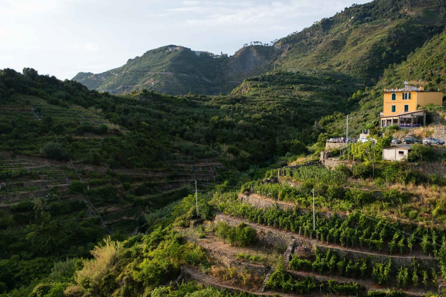 20150810_Eurotrip_CinqueTerre_011