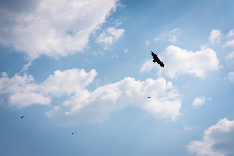 20150812_Eurotrip_VerdonGorges_050