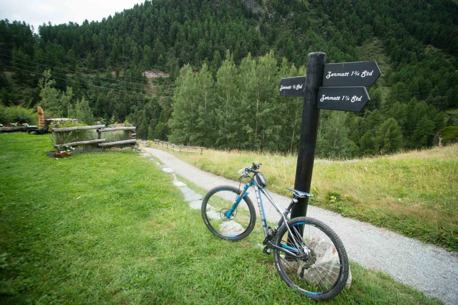 20150815_ChamonixZermatt_Schweiz_008