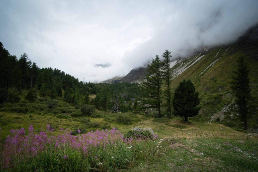 20150815_ChamonixZermatt_Schweiz_024