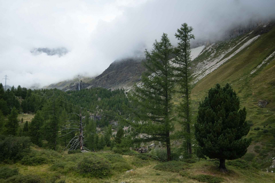 20150815_ChamonixZermatt_Schweiz_025