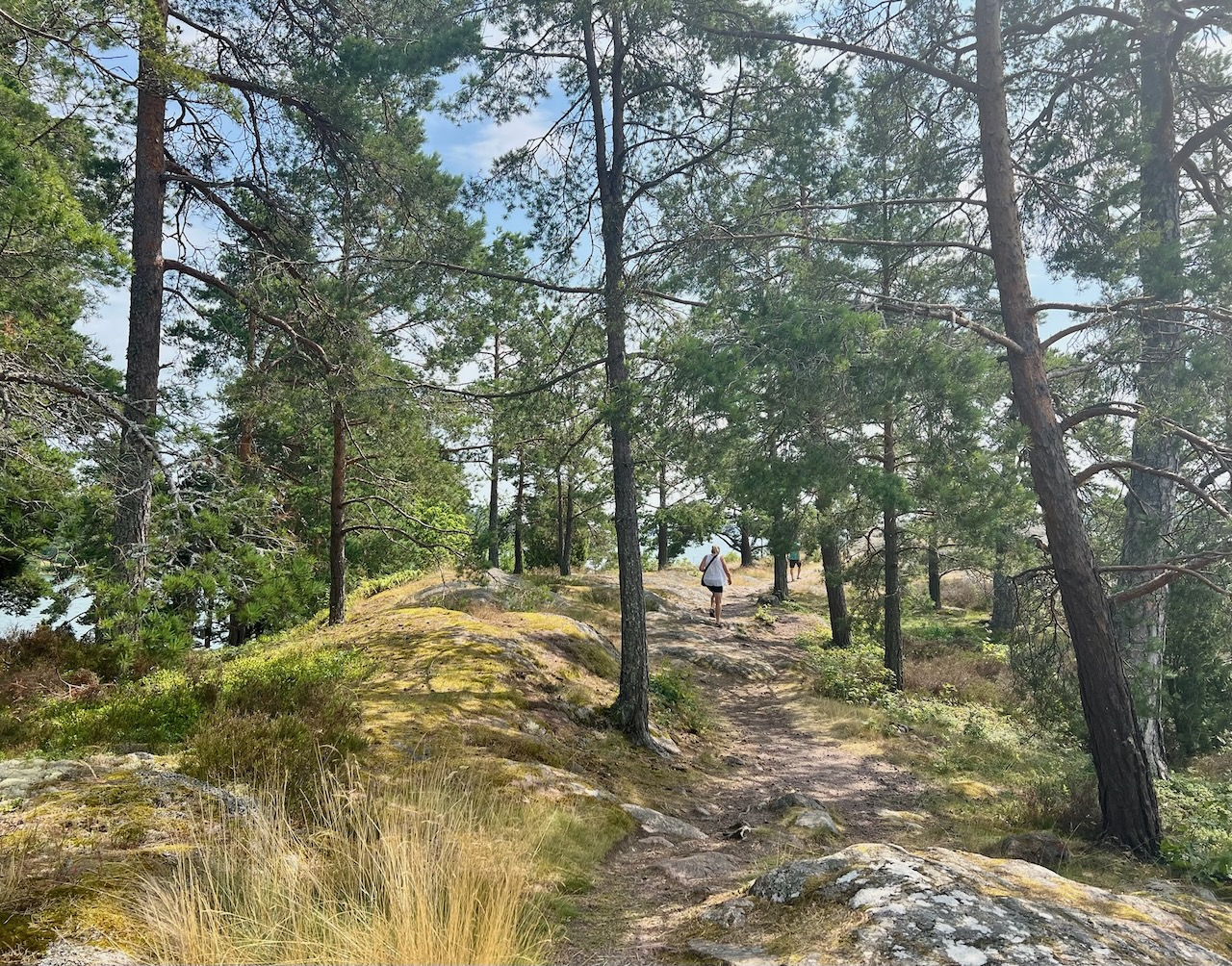 IMG_0358