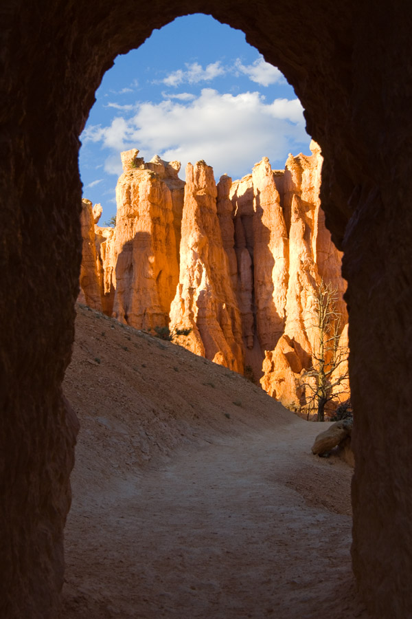 USA_210910_0705