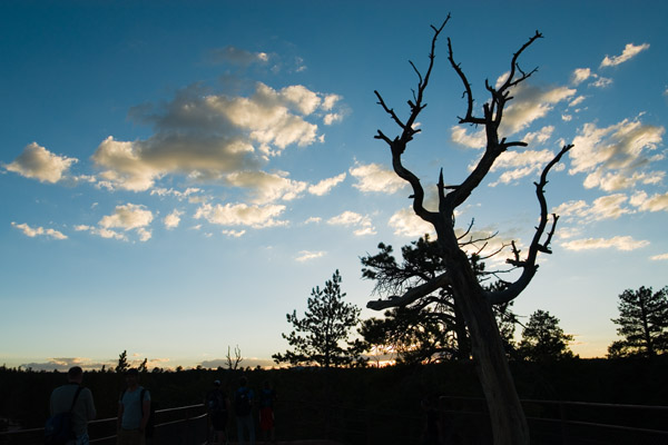 USA_210910_0738